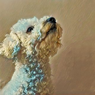 Paul Rawlinson's avatar