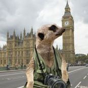 Robert Stoppard's avatar