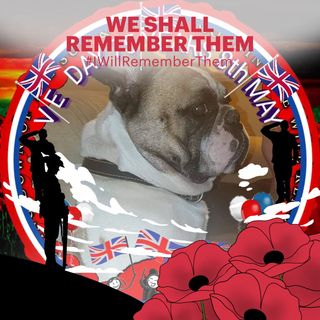 David Pulfer's avatar