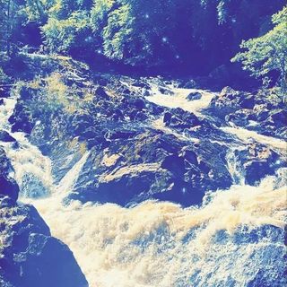 Sachma Cookiee's avatar