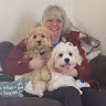 Janet Cottam's avatar