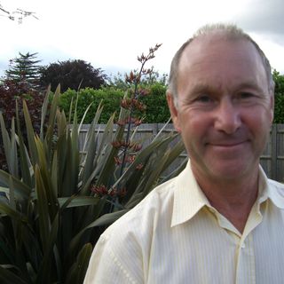 Peter Blok's avatar
