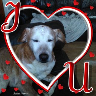 Michelle Donoghue's avatar