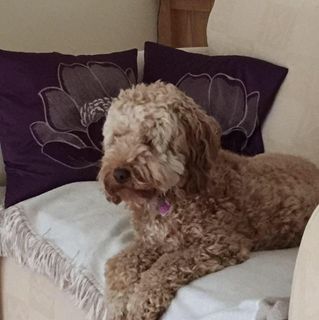 Mark Potter's avatar