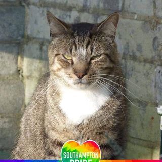 Helena Ridd's avatar