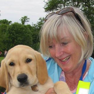 Patricia Rae's avatar