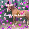 Bruh_maddie_the_horse's avatar