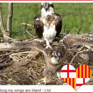 Valerie Mollart's avatar