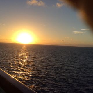 Linda Andrew's avatar