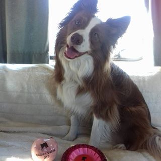 Anita Jones's avatar