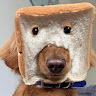Peter vanderheever's avatar