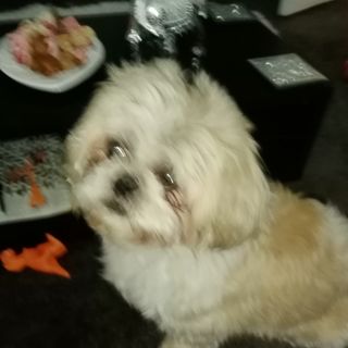 Susan Birkett's avatar