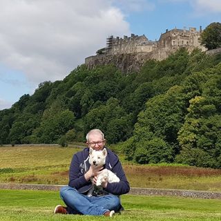 David Johnstone's avatar