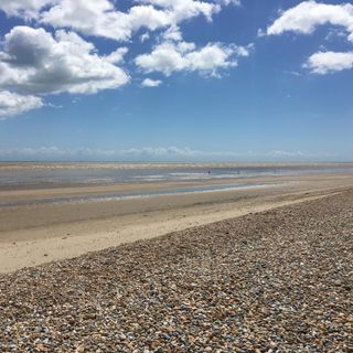 Sean Buckley's avatar