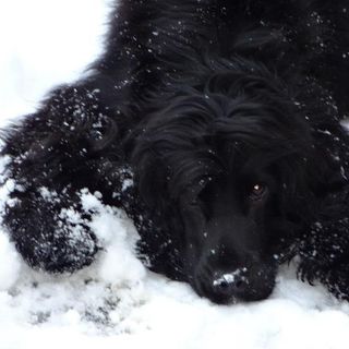 Christine Farmer's avatar