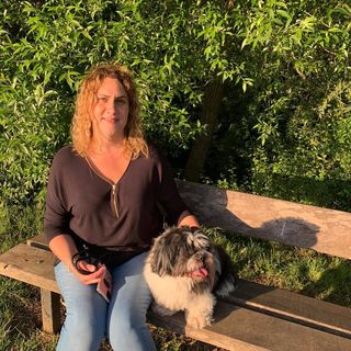 Carrie Hitchcock's avatar