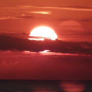 Carol Jones's avatar