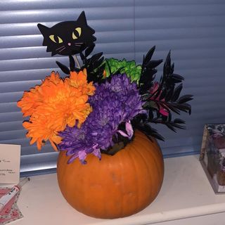 Melanie Guy's avatar