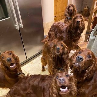 Jilly Turner's avatar