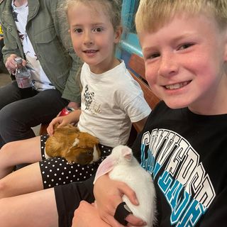 Denise Foster's avatar