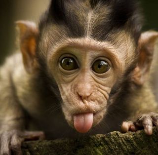 Kym Sutcliffe's avatar