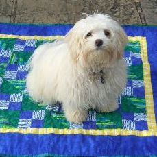 Mary Roberts's avatar