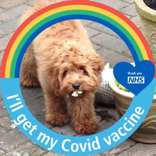 Carolyn Hammond's avatar