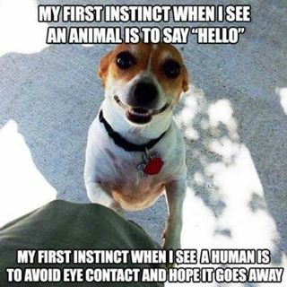 Nicola Stuber's avatar