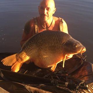 Julian Davison's avatar