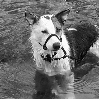 Rebecca Coe's avatar