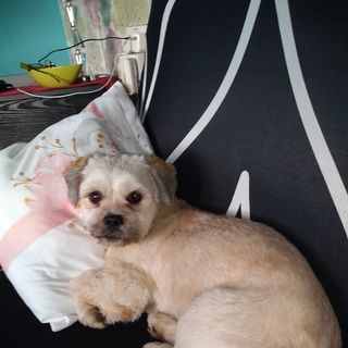 Linda Poyner's avatar