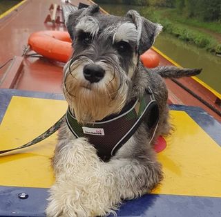 Richard Wiles's avatar