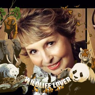 Molly Evans's avatar