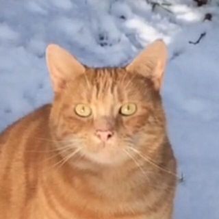 Kate Duncan's avatar