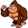 Andy H.'s avatar