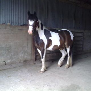 Lesley Minty's avatar