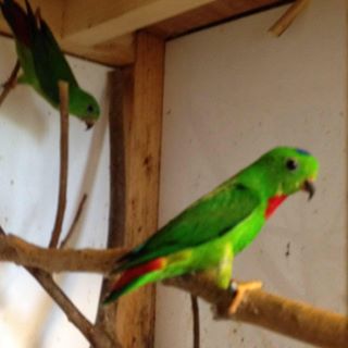 Dennis Culverwell's avatar