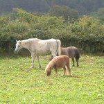 Julie Argue's avatar