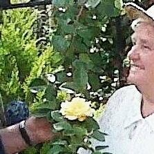 Richard Cook's avatar