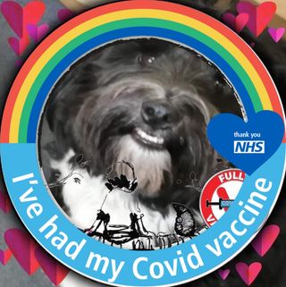 Sue Rothery's avatar