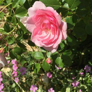 Anita Bennett's avatar