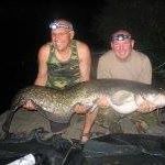 David Wiggins's avatar