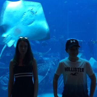 Clare Naylor's avatar