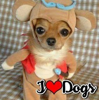 Andrea Williams's avatar