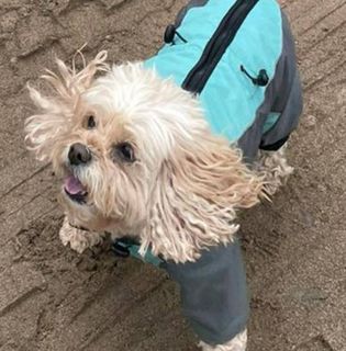 Shirley Dale's avatar