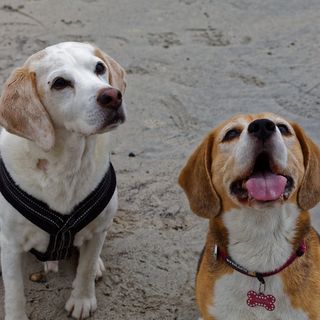 Richard Huckle's avatar