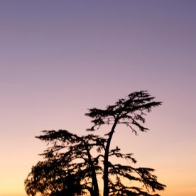 Arthur Morley's avatar