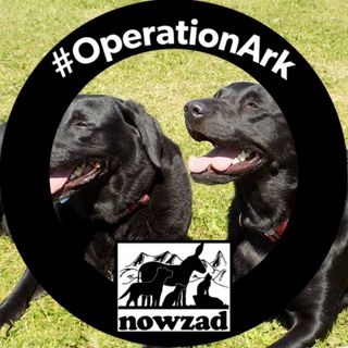 Maureen Smith's avatar