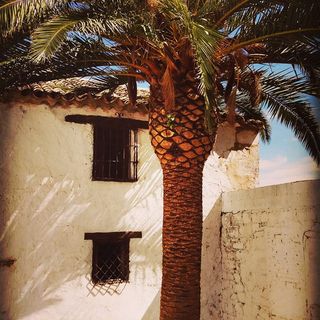 Jackie Keith's avatar