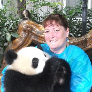 Susan Collins's avatar